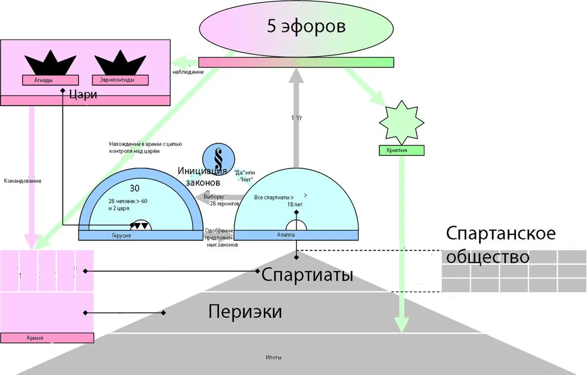 Схематическая структура общества Спарты