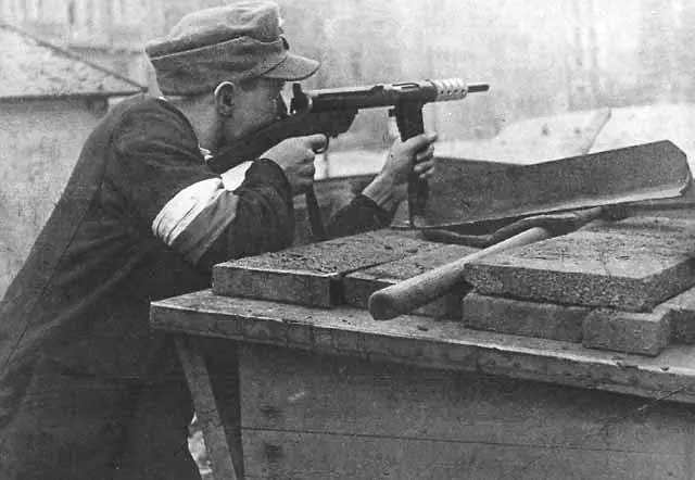 Польский повстанец