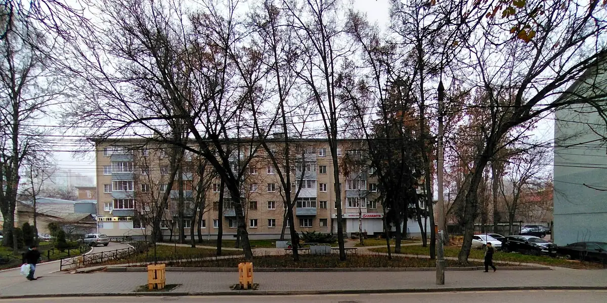 Сквер имени Жириновского в Воронеже